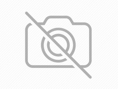 The Art of Horn and Wood Carving