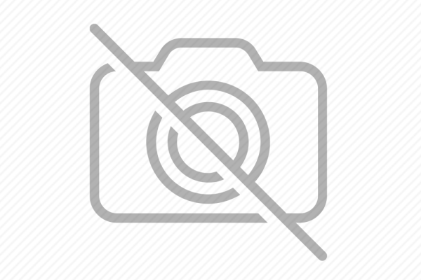 The Art of Horn and Wood Carving